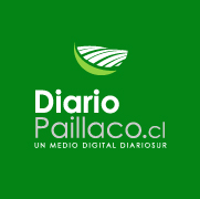 Logo diariopaillaco.cl